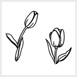 Fototapeta Tulipany - Tulips pattern.Image on a white background.Graphics.Vector.