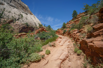 Wall Mural - hiking west rim trail in zion national park, usa