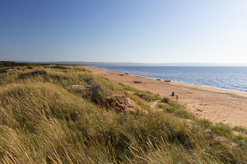 Wall Mural - a sandy beach at Mellembystrand, southern Sweden