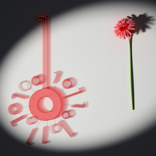 Red Gerbera Daisy Flower And Red Transparent Digital Flower Isolated On Background 3d Rendering, 3d Illustration
