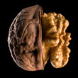 Macro photo of half opened walnut with kernel isolated on a black background
