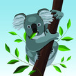 Cute koala on a tree and eats a leaf, Australian bear.  Wildlife, zoology, nature. Vector illustration. EPS10