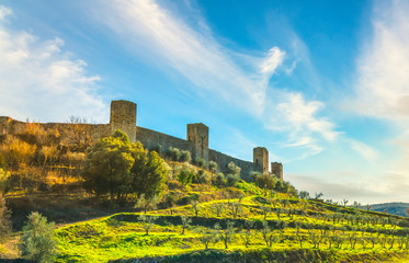 Wall Mural - Monteriggioni medieval fortified village and olive trees, Siena, Tuscany. Italy