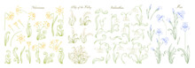 Set Of Spring Flowers: Iris, Lily Of The Valley, Snowdrop, Daffodil. In Art Nouveau Style, Vintage, Old, Retro Style. Outline Vector Illustration.