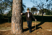 Old Man With Cane, Leaning On Tree In Park