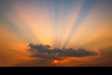 Wall Mural - Amazing sunset and sunrise.Panorama silhouette tree in africa with sunset.Tree silhouetted against a setting sun.Dark tree on open field dramatic sunrise.Safari theme.Giraffes , Lion , Rhino.