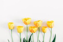 Beautiful Composition Of Tulip, Spring Flowers. Yellow Tulips Flowers On White Background. Valentine's Day, Easter, 8th March, Happy Women's Day, Mother's Day. Flat Lay, Top View, Copy Space