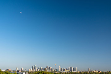 Wall Mural - South view of Sydney CBD with plenty of blue sky and the moon