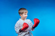 © andreyfire - In the karate stance, a small athlete with red overlays on his hands