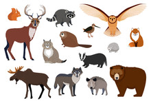 European And Canadian Wild Forest Animals, Set Of Isolated Cartoon Characters, Vector Illustration. Wildlife Fauna Of Northern Europe, Bear, Wolf, Moose And Fox. Woodland Animals Of Canada, Forest Owl