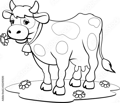 Obraz krowa  kolorowanki-krowa-kolorowanki-dla-dzieci-i-dzieci