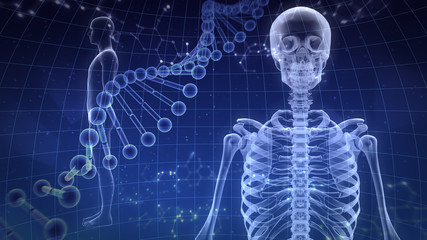 Wall Mural - Human Body Skeleton Medical DNA Science Technology 3D illustration background.