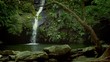 waterfall and lagoon in the rain forest