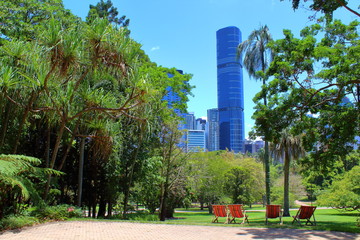 Wall Mural - Brisbane Botanic Garden