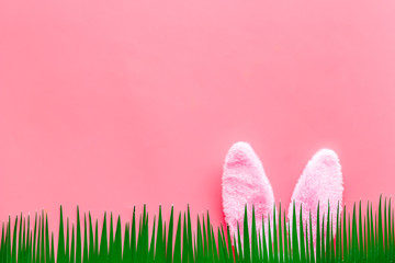  Easter bunny's ears behind grass on pink background top-down copy space