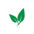 mint leaf logo