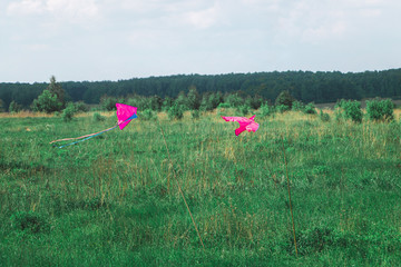 Two kites soar over a green meadow