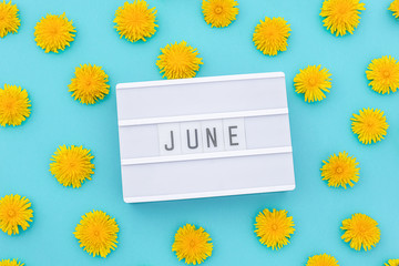 Text June on light box and yellow dandelions on blue background. Concept hello summer. Top view Flat lay.