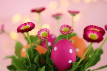 Easter Holiday. Pink Easter Eggs In A Speck Of Pink Daisies On A Light Pink Background With Shining Bokeh