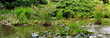 Großer Gartenteich mit Seerosen und Grünbepflanzung, Panorama