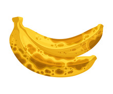Spoiled And Rotten Banana Fruit With Skin Covered With Stinky Rot Vector Illustration