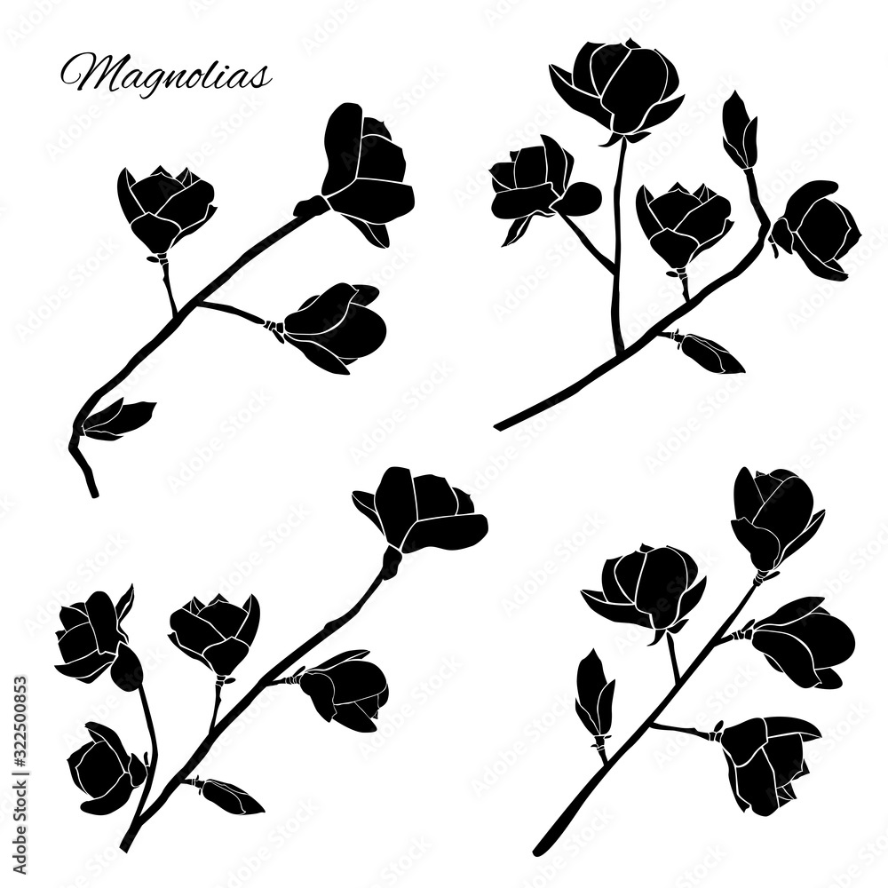 Set of twigs of blooming magnolias. Black silhouettes of flowers ...