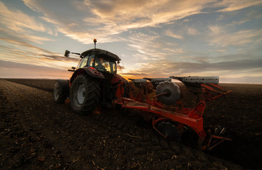 Wall Mural - Tractor plowing fields in sunset