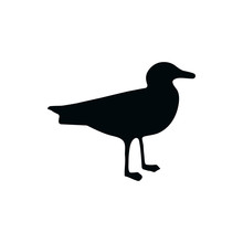 Seagull Silhouette Isolated On A White Background. Standing Sea Gull .Vector