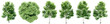 Set or collection of green elm trees isolated on white background. Concept or conceptual 3d illustration for nature, ecology and conservation, strength and endurance, force and life