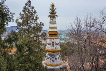 Canvas Print - Pillar in Four Great Regions temple located on Longevity Hill in Summer Palace in Beijing, capital city of China