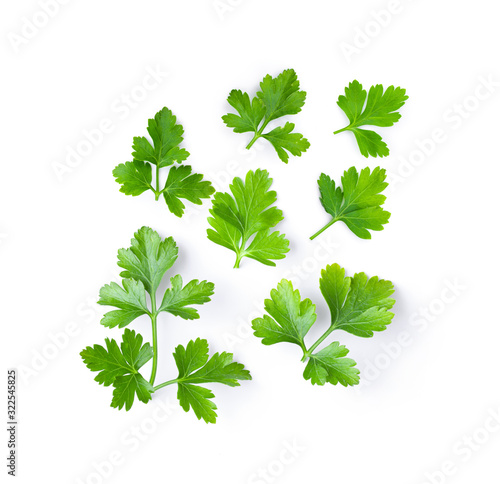 Fotografía fresh parsley herb isolated on white background