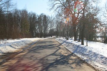 snowy road in winter forest