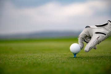 hand in white leather glove straightens golf ball on green golf course