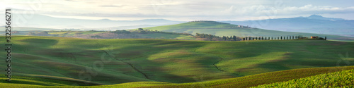 Cuadros en Lienzo Amazing Tuscany landscape with green rolling hills in spring sunny morning