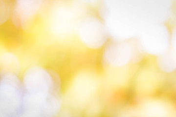Wall Mural - bokeh background from nature under tree shade