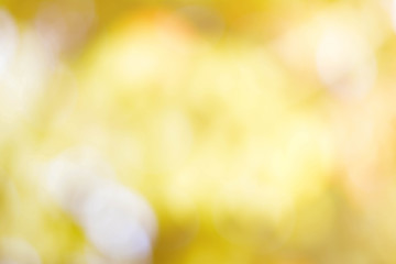 Sticker - natural background under shade trees