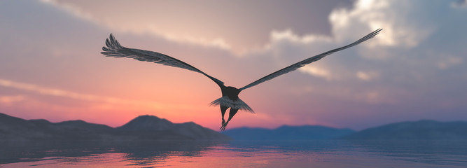 eagle flying flush with water