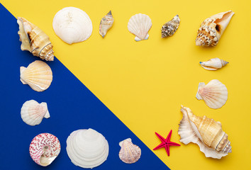 Summer sale. White seashells, red starfish in shape frame isolated on blue, yellow background. Hello Summer is coming concept