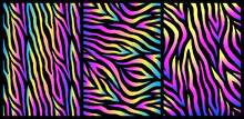 Set Of Abstract Vector Backgrounds With Holographic Wavy Design. Polar Lights. Purple, Pink, Yellow, Teal Colors. Neon Fluid Vibrant Gradient Blurs In Retrowave Style.	