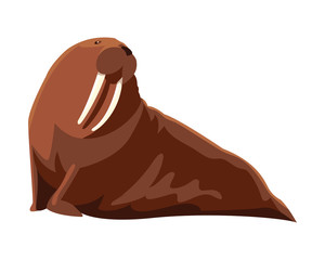 Sticker - walrus sea animal on a white background