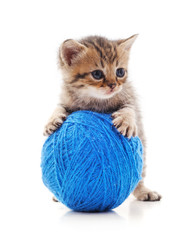 Sticker - One striped kitten with a ball of yarn.