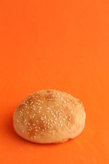 Wall Mural - delicious bread rolls on colored background