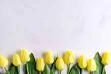 Amazing Spring Yellow Tulip Flowers On Stone Background, Flat Lay With Copy Space