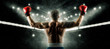 © Andrey Burmakin - Boxer celebrating win on dark background. Sports banner