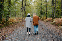 Two women walking in a autumnal forest while checking their smartphone