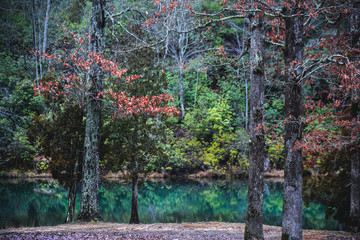 Wall Mural - Lake at Pickett CCC Memorial State Park in Central Tennessee in the United States