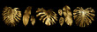 Tropical leaves gold and black, can be used as background