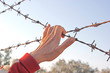 Refugee woman hand holding a crossed barbed wire