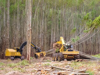 Wall Mural - Logging Equipment - Timber Harvesting