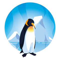 Sticker - penguin at the north pole, arctic landscape